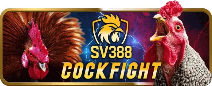 Ưu đãi chào mừng cho người chơi mới tại bet169 casino